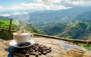 Colombia’s Quiet Economic U-Turn: How Coffee and Gold Are Replacing Oil
