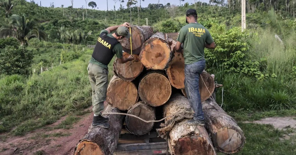 051920Amer_Brazil_AmazonFines