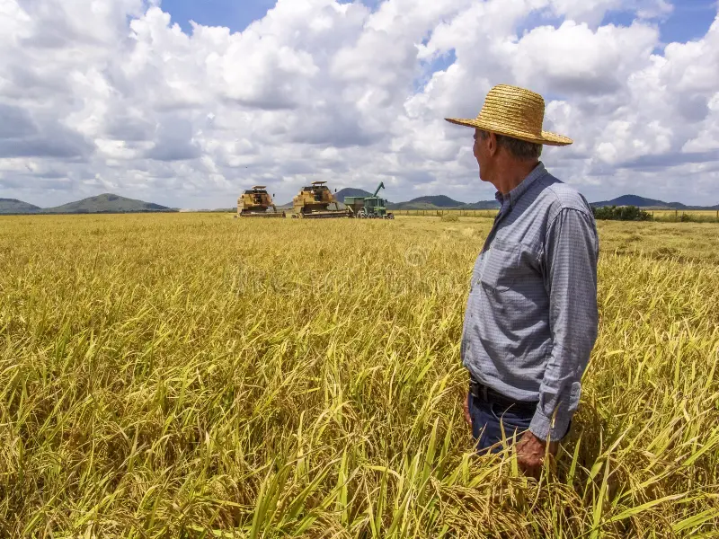 brazil-farming-1