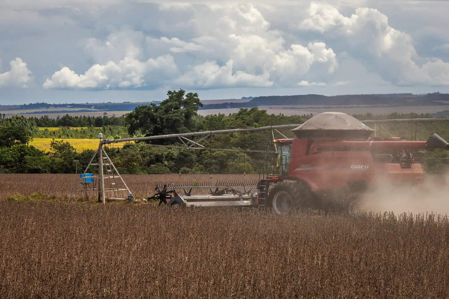 Brazil’s Agro-Industry Was Already Shrinking Before the Iran War Made Everything Worse