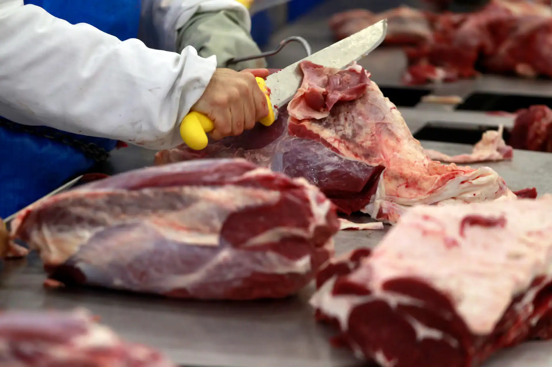 Brazil Meat Giant MBRF Bets on Collagen as Diet Drugs Boom