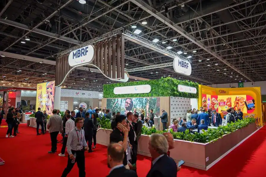 MBRF Profit Plunges 92%, Then Rebounds 27%