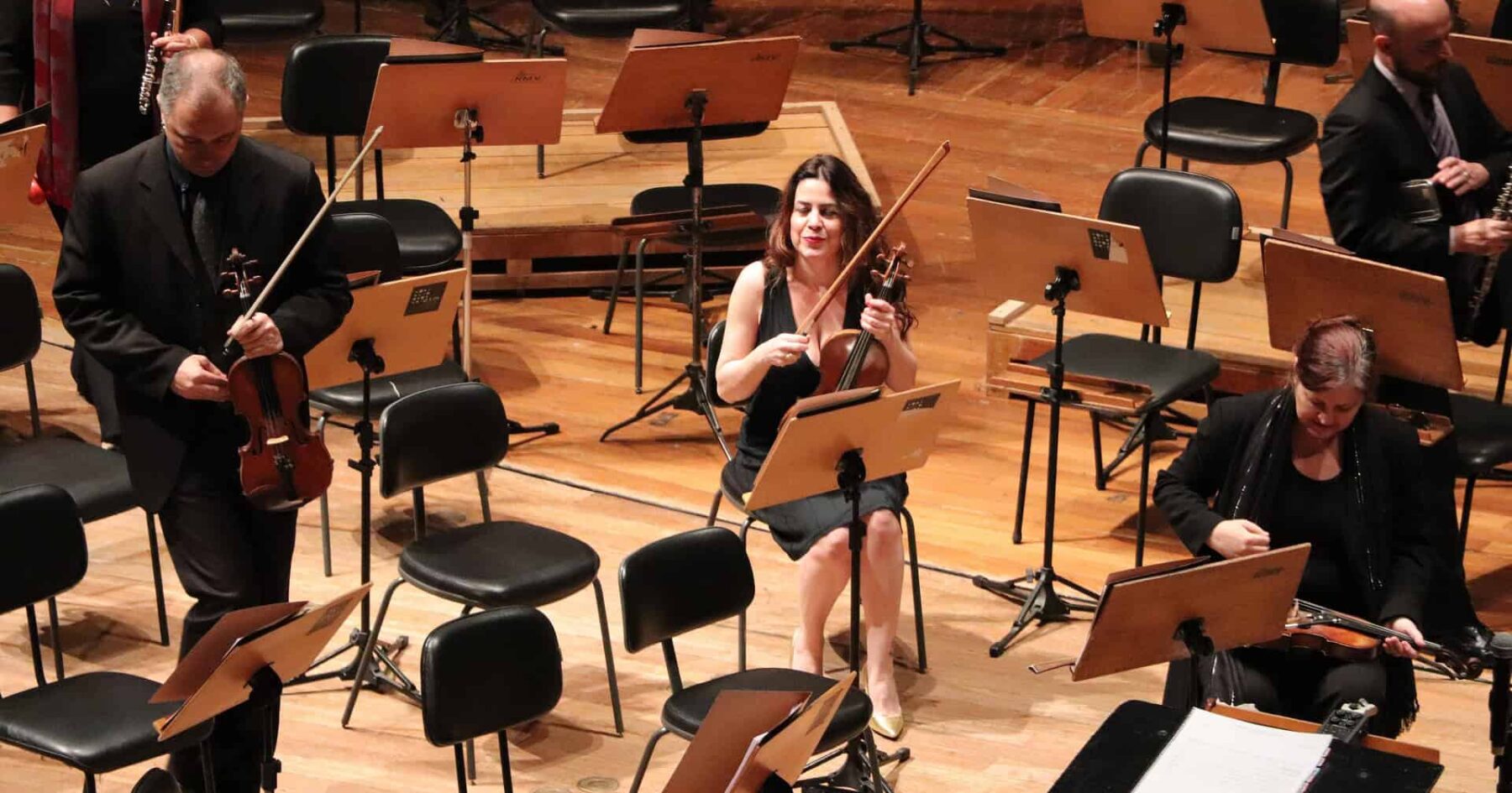 mallerba-violinist-4365333_1920