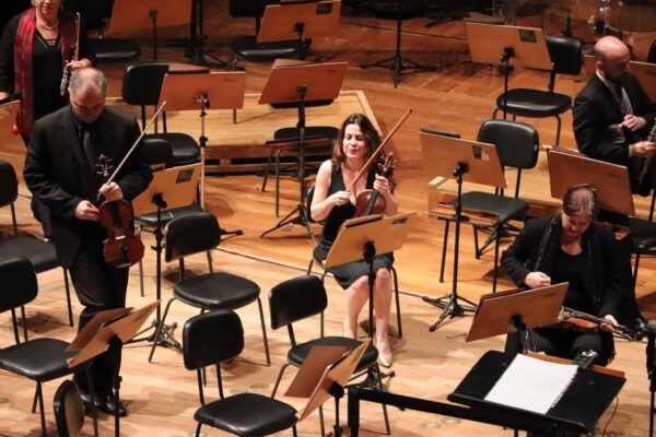 mallerba-violinist-4365333_1920
