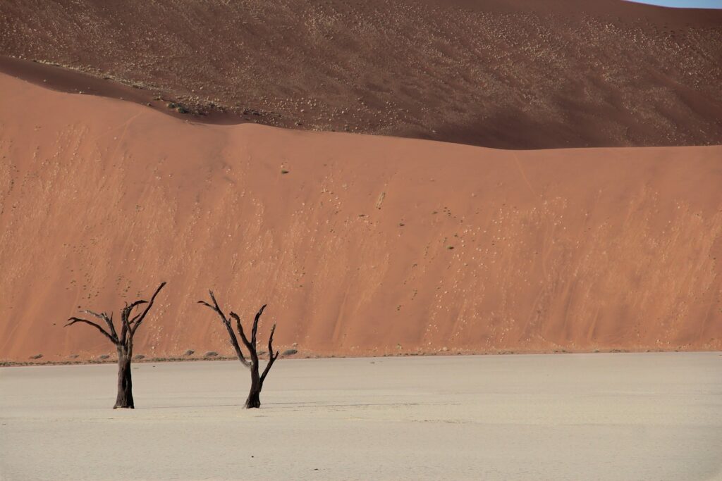 Marco Fishing Restructuring Puts 30 Jobs at Risk in Namibia