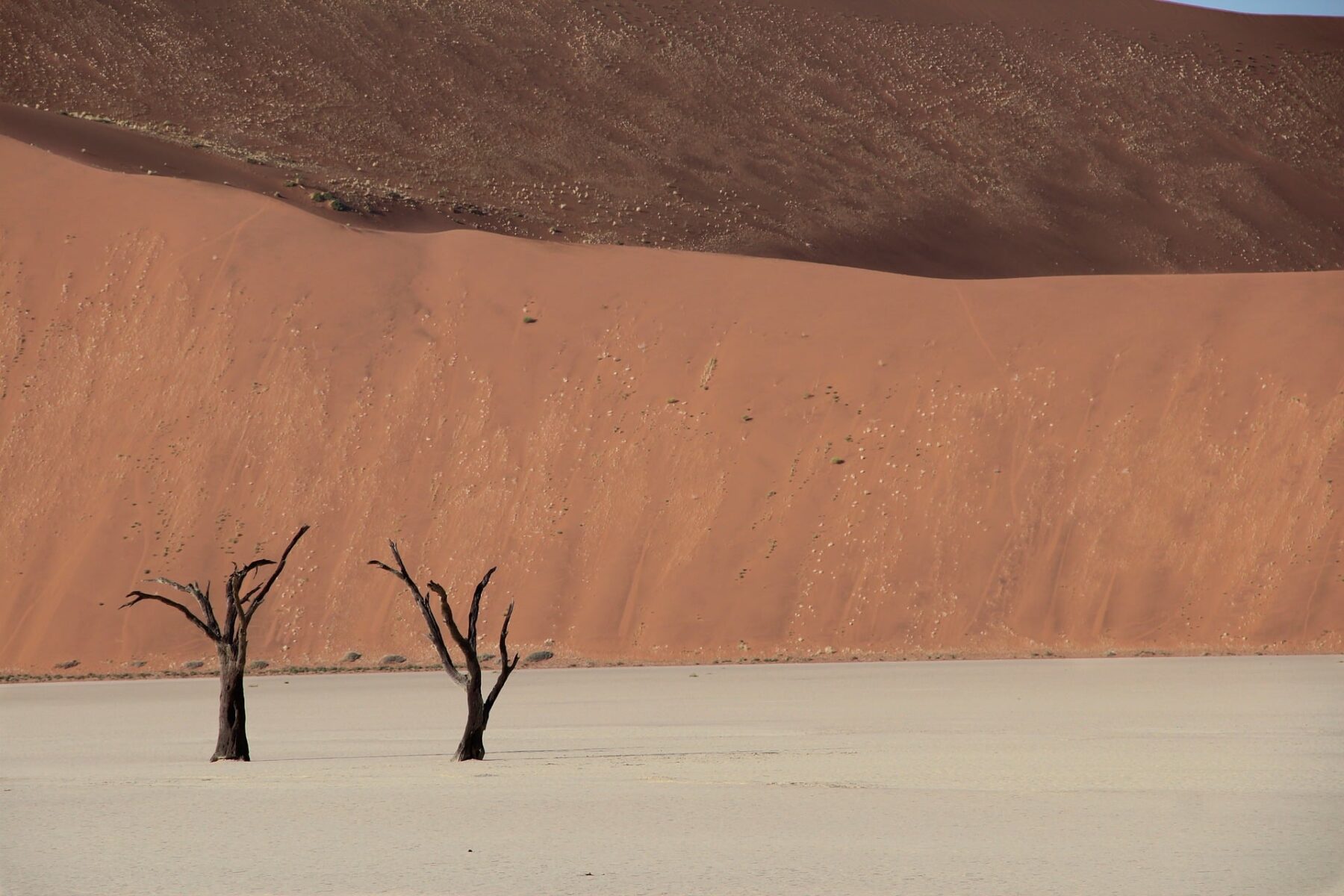rudi_va_denel-namibia-10183496_1920