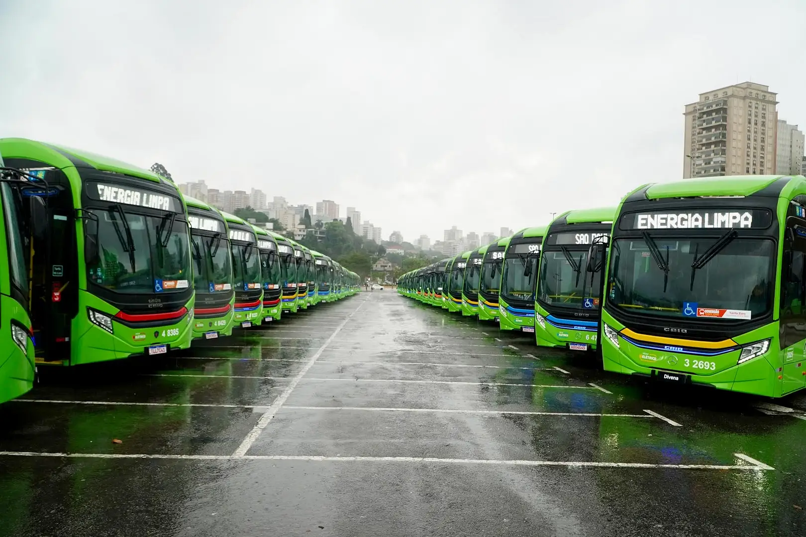 electric buses lined up in São Paulo public transport fleet