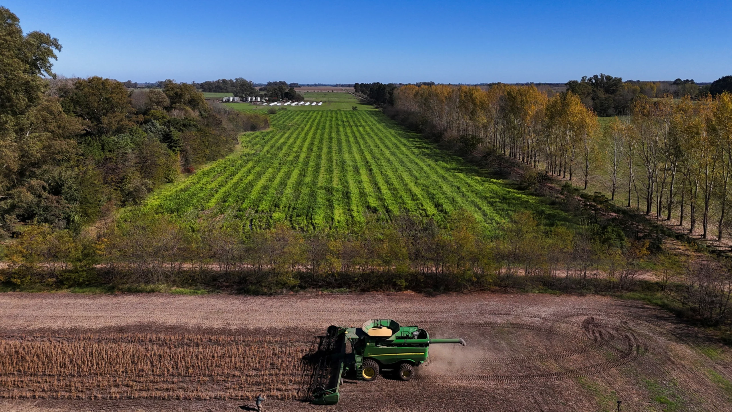 Brazil farmland auctions surge as lenders seize indebted soy and corn farms