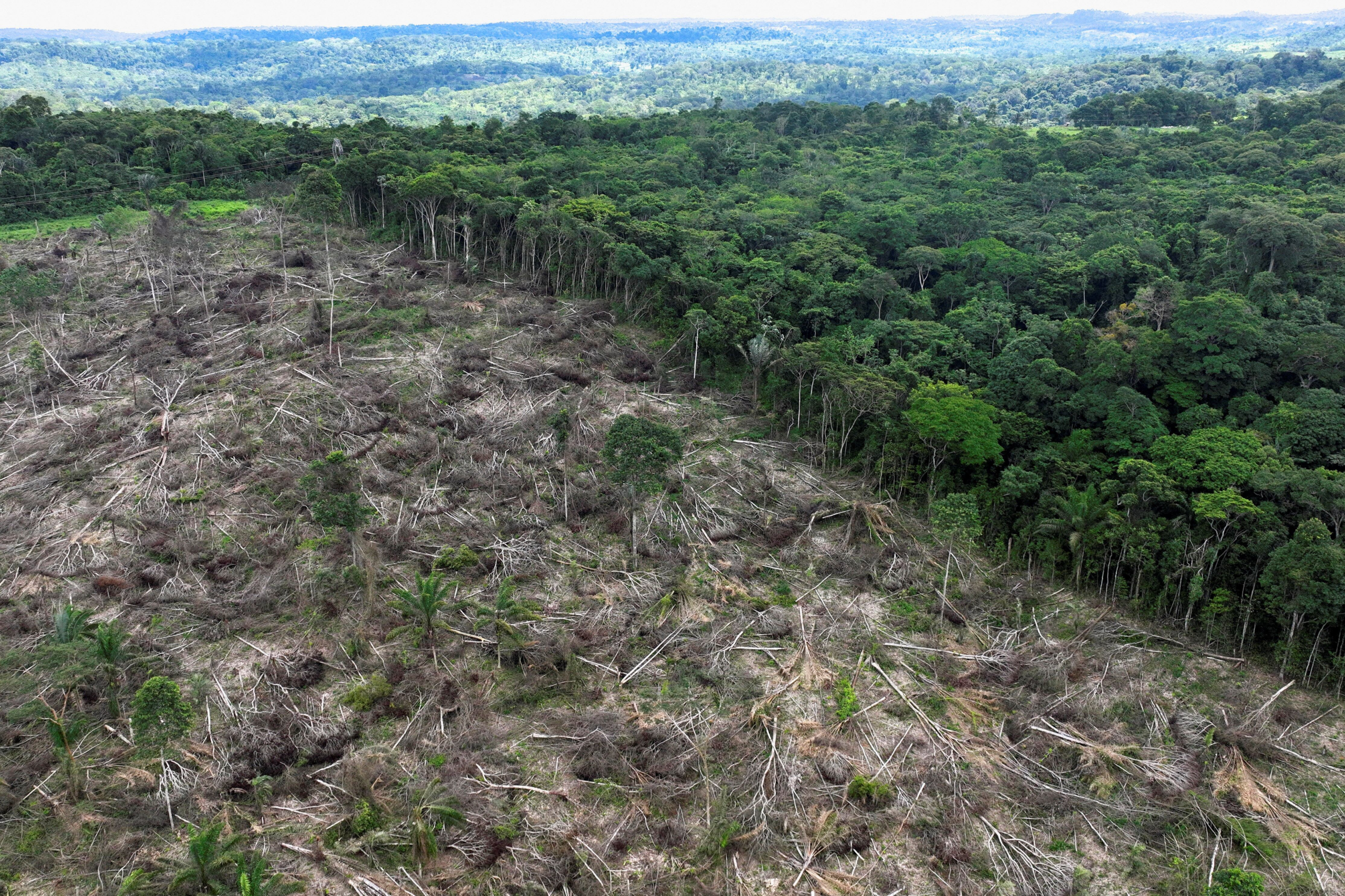 Amazon Deforestation Hits a Decade Low, and Lula Aims It at Trump