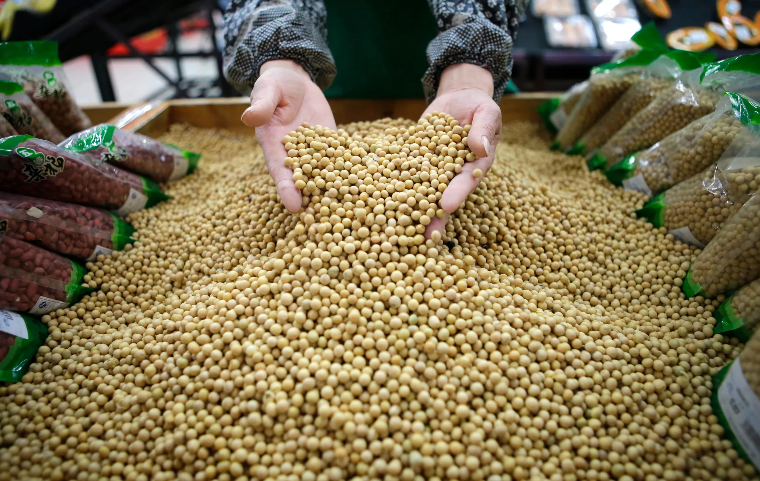 China Plan to Cut Food Imports Threatens Brazil Soy and Beef