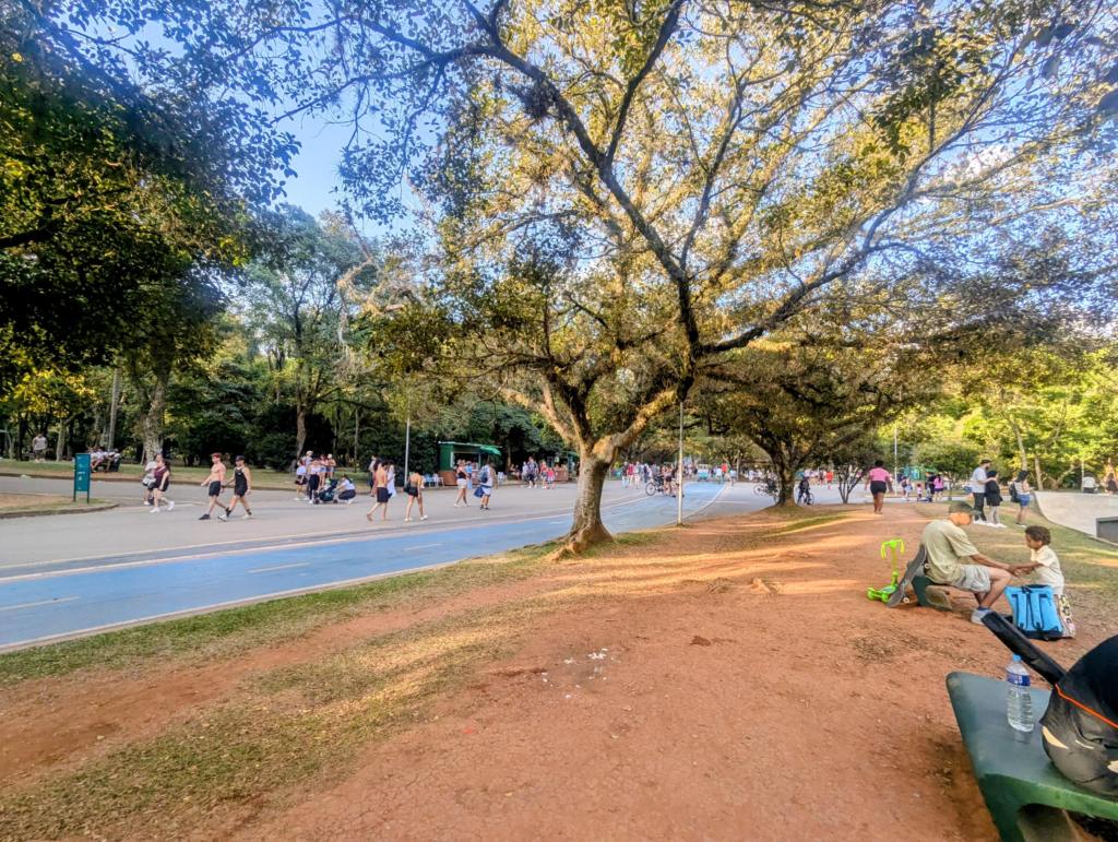 São Paulo Daily Brief for Monday, June 8, 2026