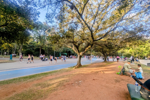 ibirapuera-park-through-my-v0-thlqb7wbumxg1-scaled