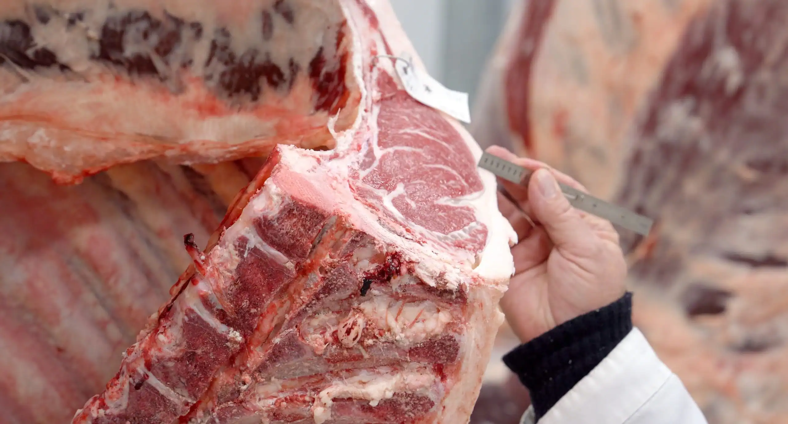 Why Europe Is About to Shut Out the World Biggest Beef Exporter