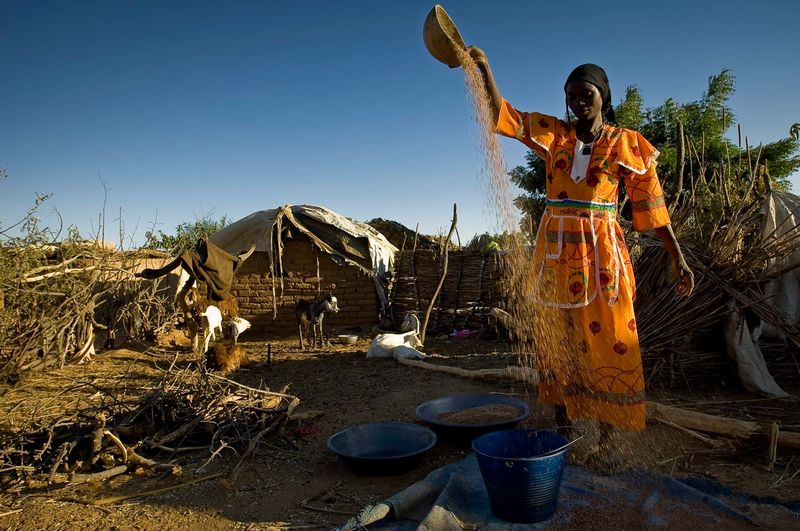Foreign Money and Mercenaries Fuel Sudan’s War