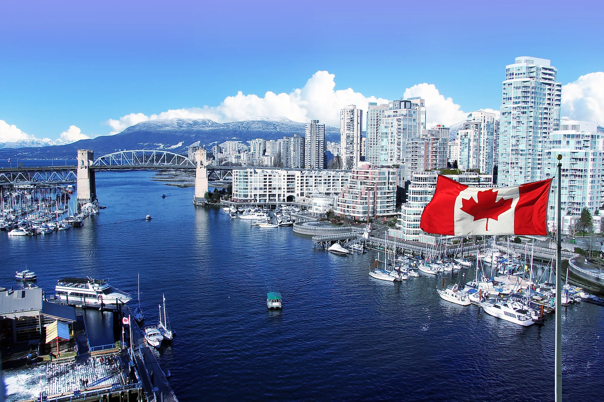 USA & Canada Intelligence Brief — Monday, June 8, 2026