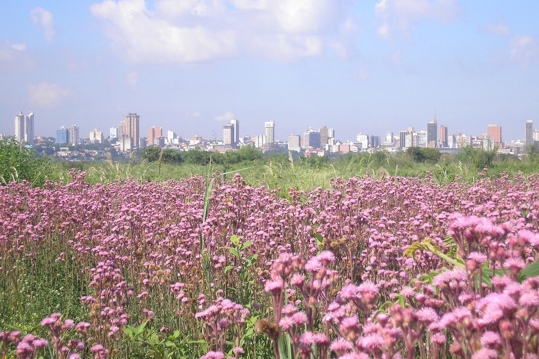 Asuncion, Paraguay