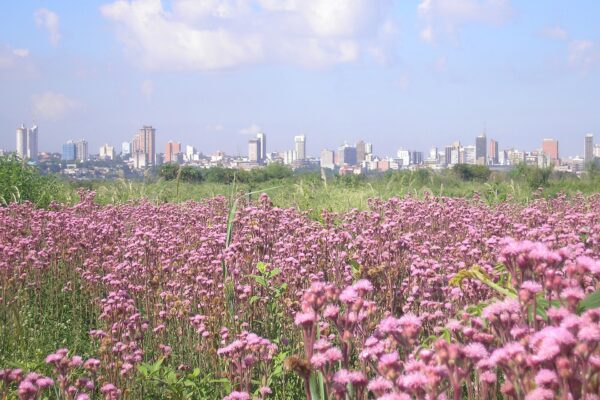 Asuncion, Paraguay