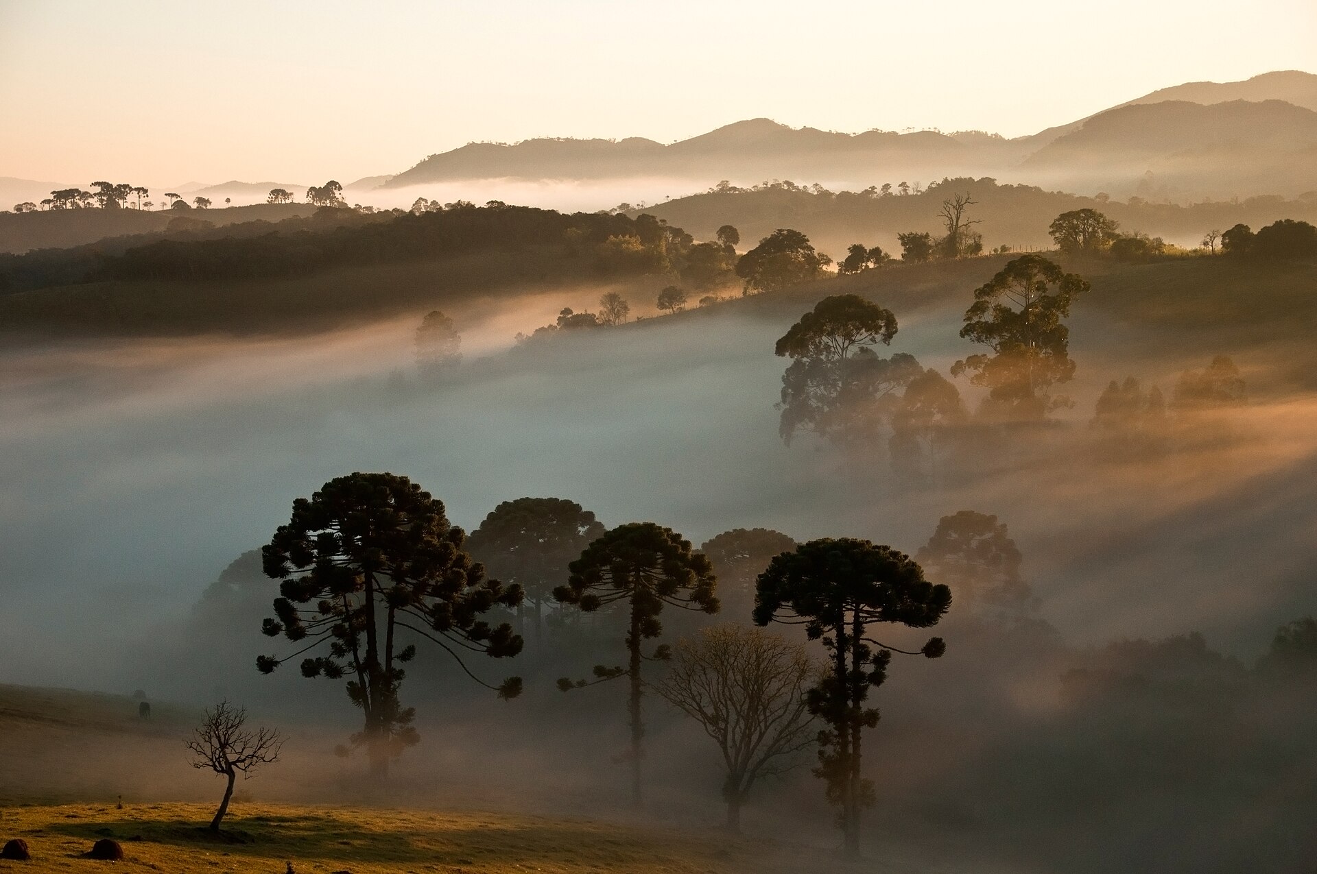 Chicaque Cloud Forest: Bogotá’s Exotic Sanctuary Under an Hour Away