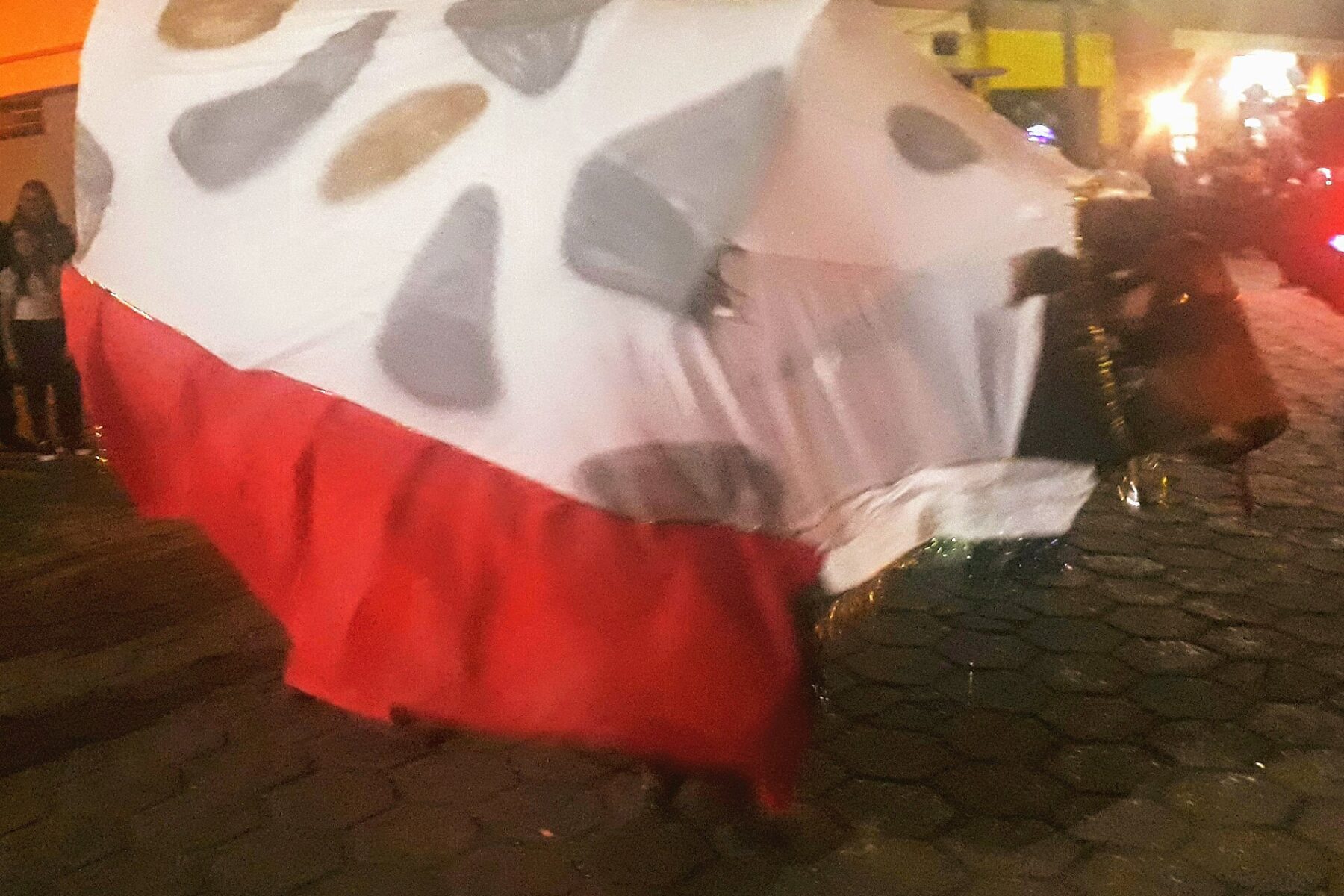 Fortaleza carnival