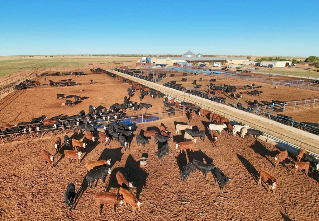 Argentina Left Out of New US Beef Quota