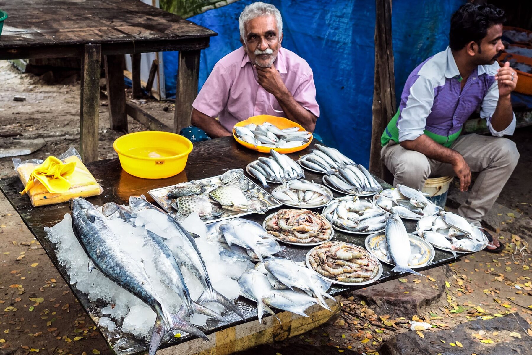 Fresh fish
