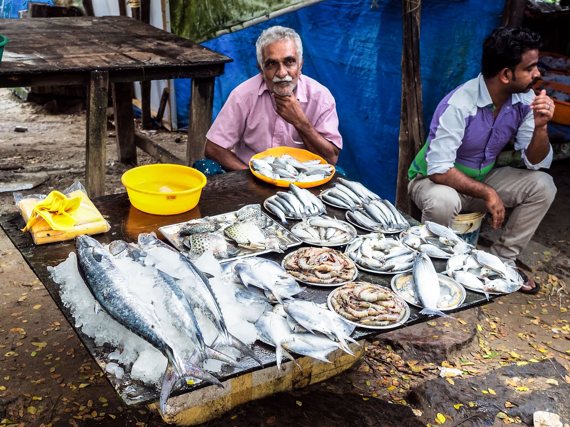 Fresh fish