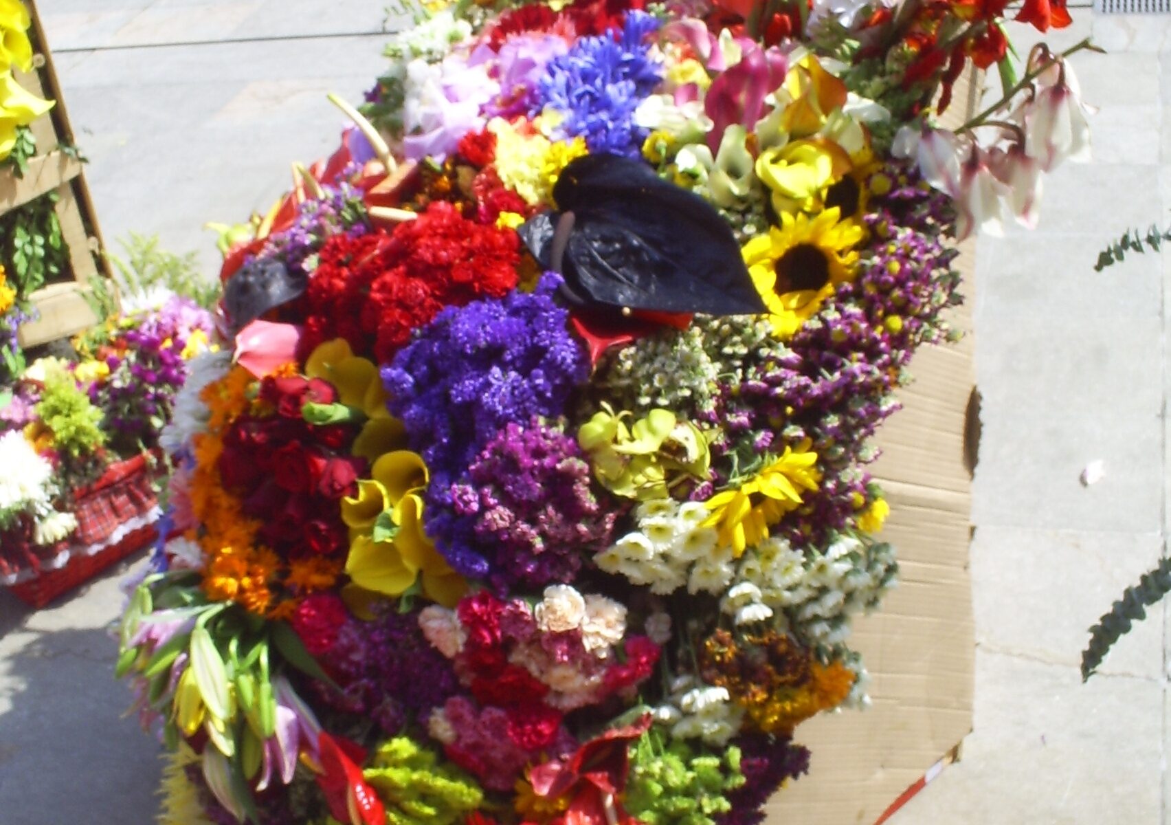 Silletero carrying a flower arrangement at Medellin Feria de las Flores