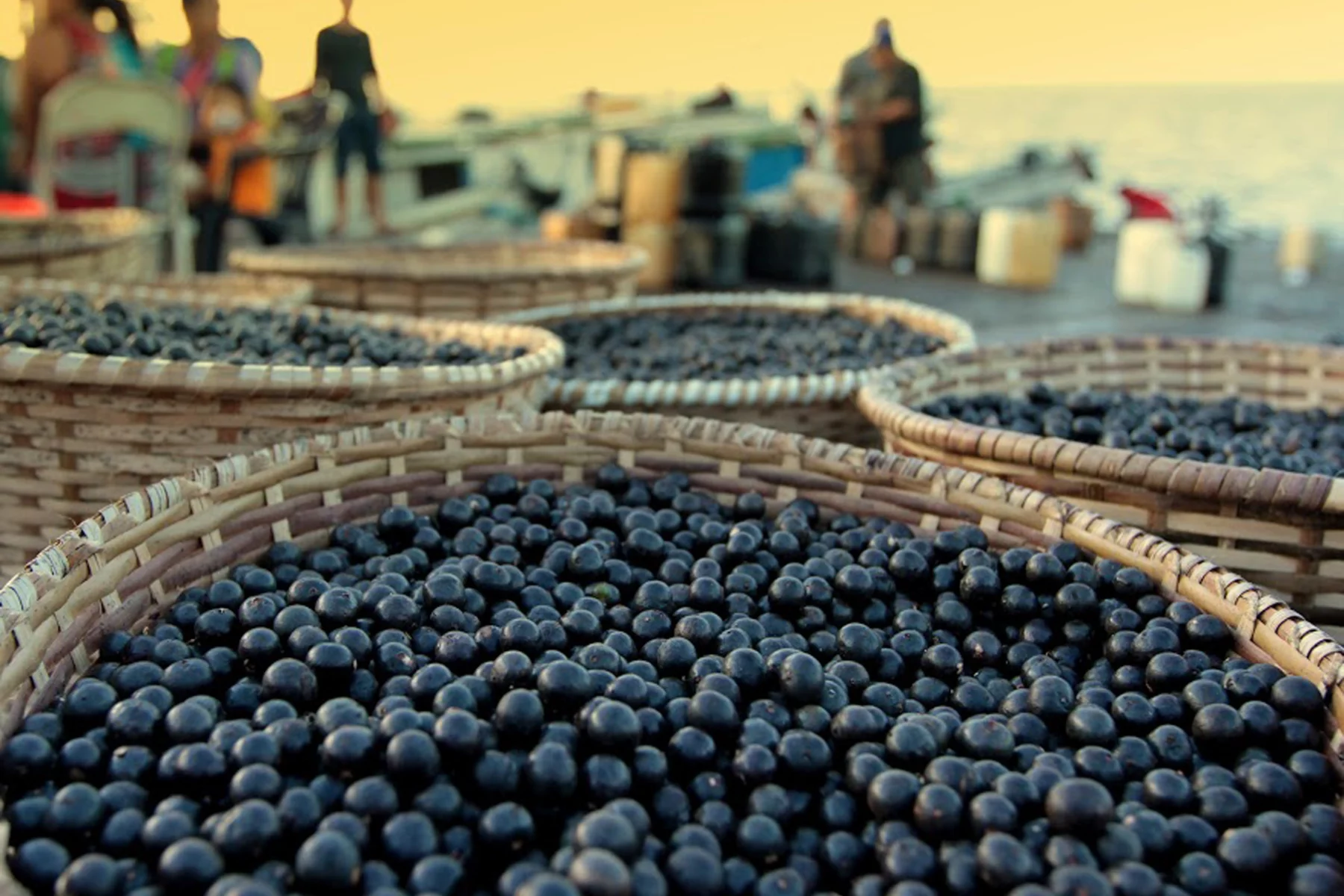 MarciaDoCarmo_Gastronomia_acai_na_feira_Macapa_AP_(26099441497)