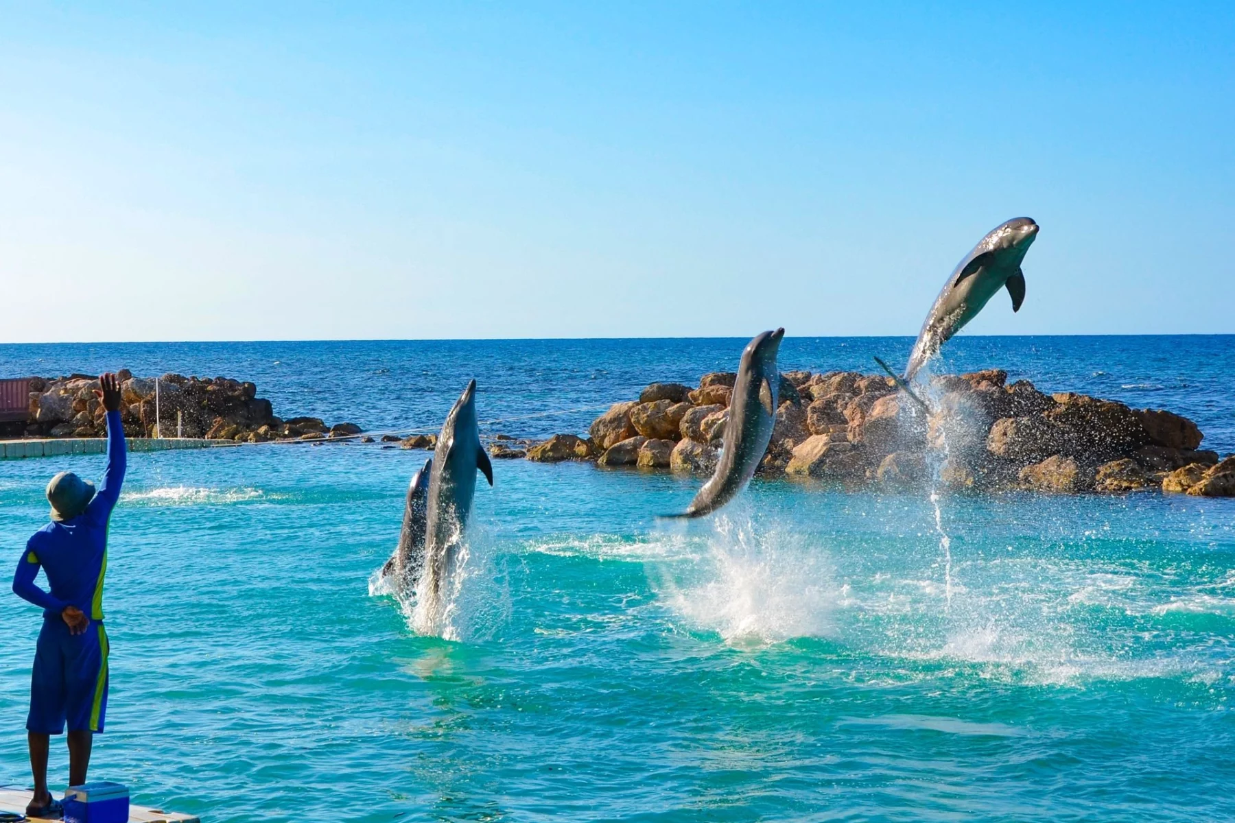 Tours-Dolphin-Cove-HP1a