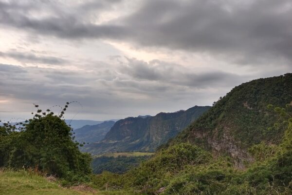 Chicaque cloud forest near Bogota, Colombia
