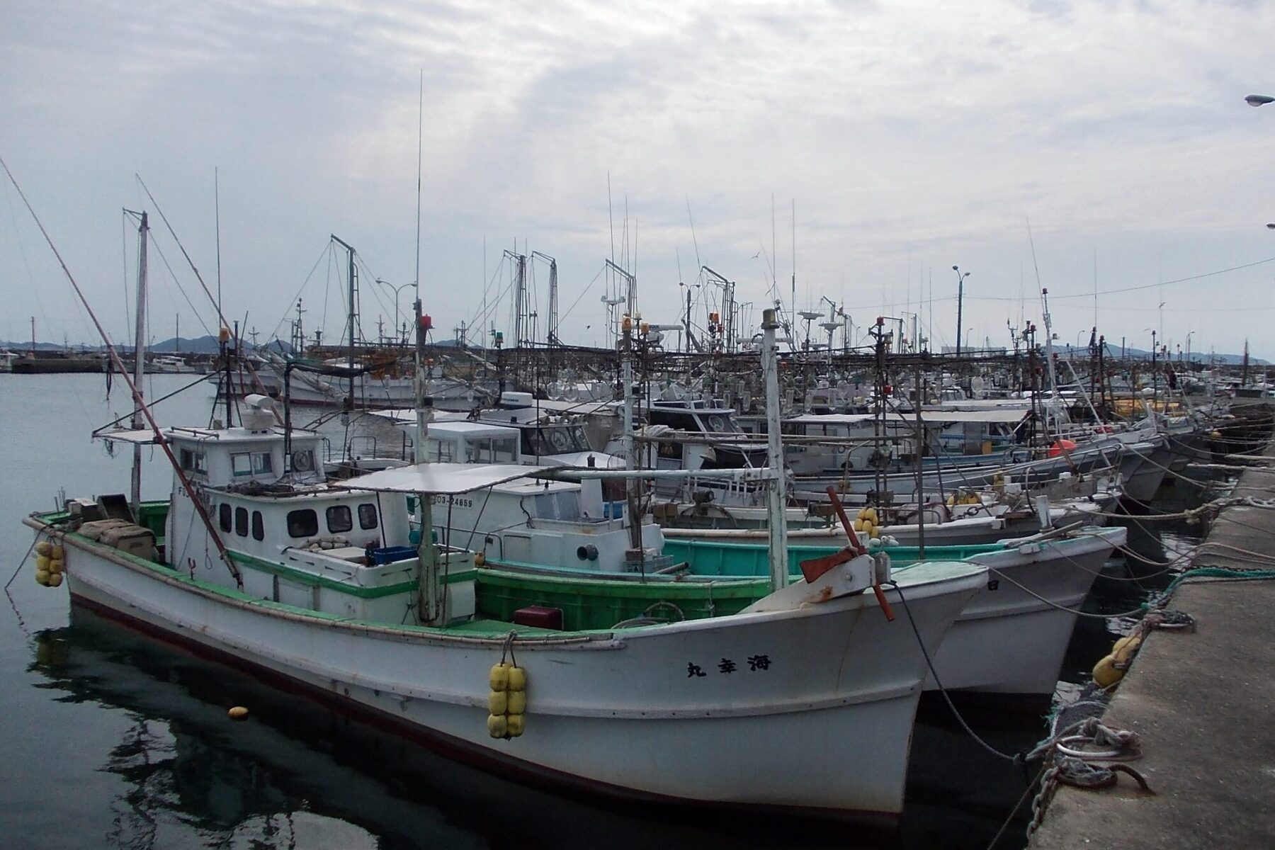 Squid-fishing vessels in port