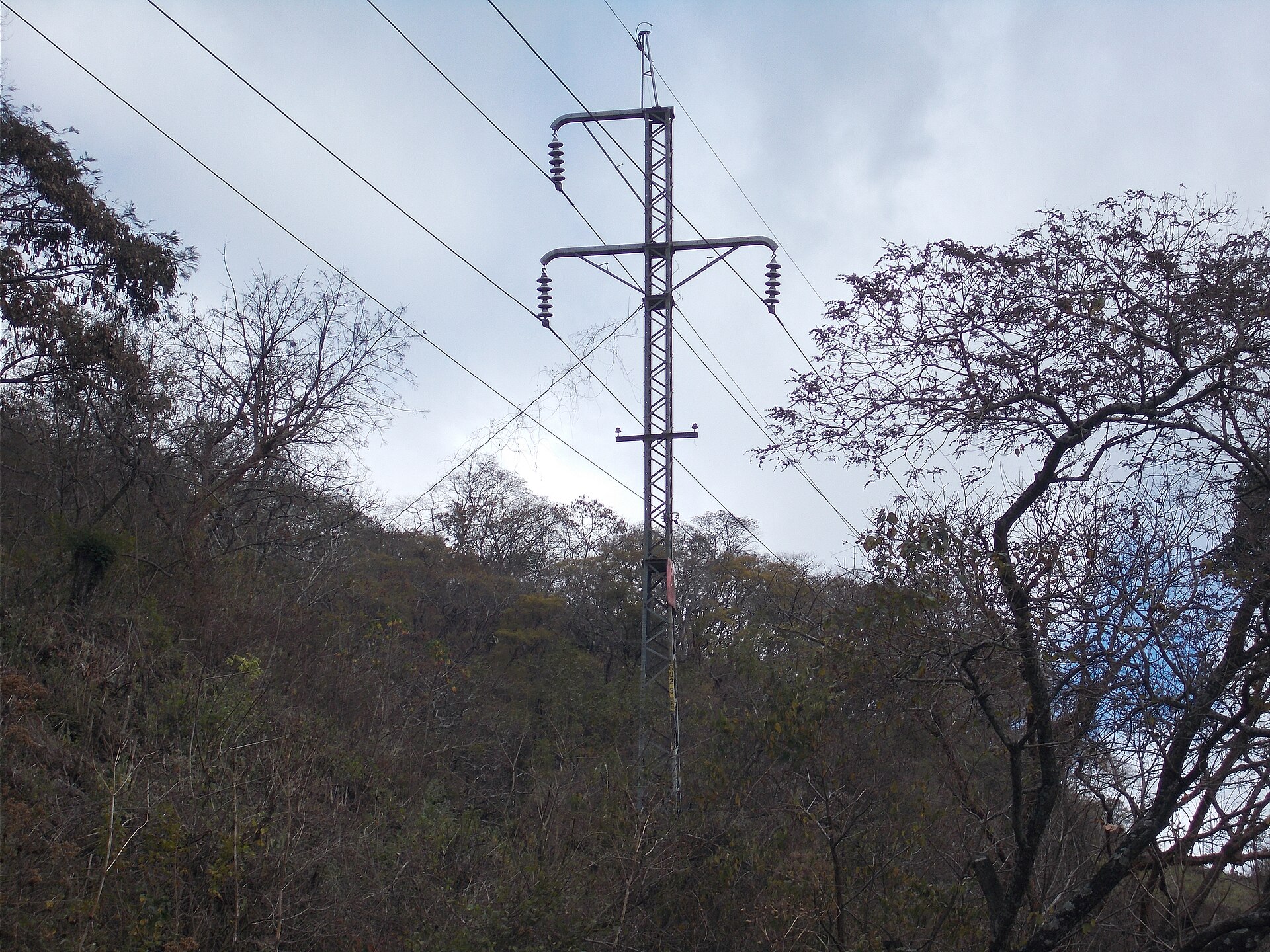 Guatemala Pushes Fast-Track Electric Grid Law as 2 Million Remain Without Power