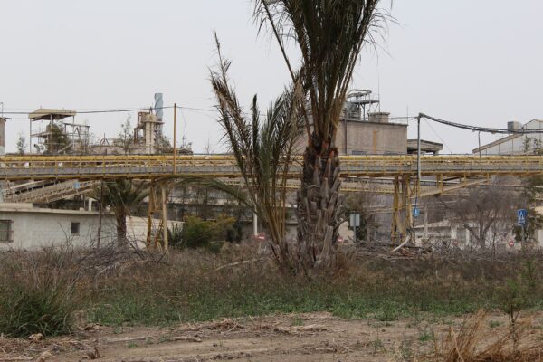 Cemex cement plant