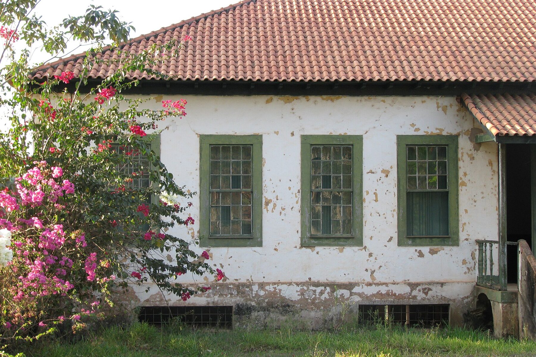 Brazil coffee plantation