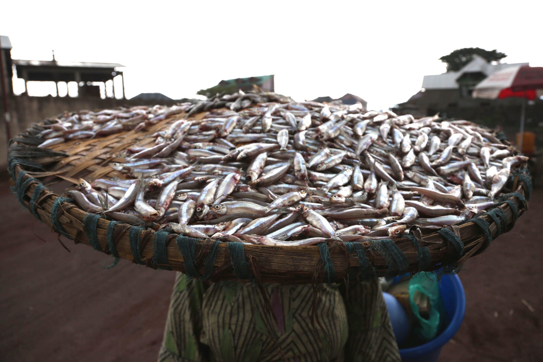 Ebola economic impact - trader carries sambaza fish to a Goma market, DR Congo