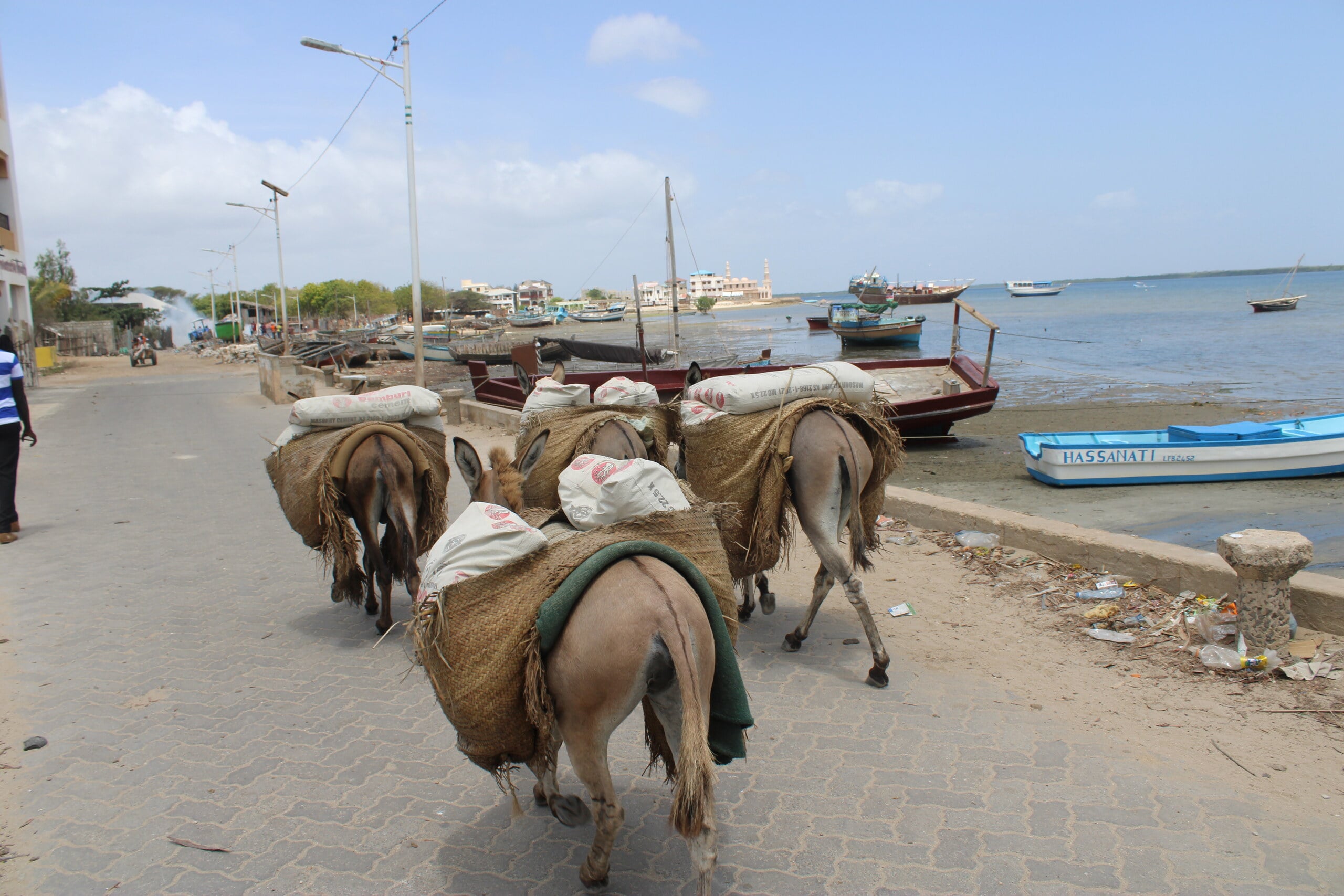Dangote Kenya refinery — the Lamu seafront on Kenya’s northern coast