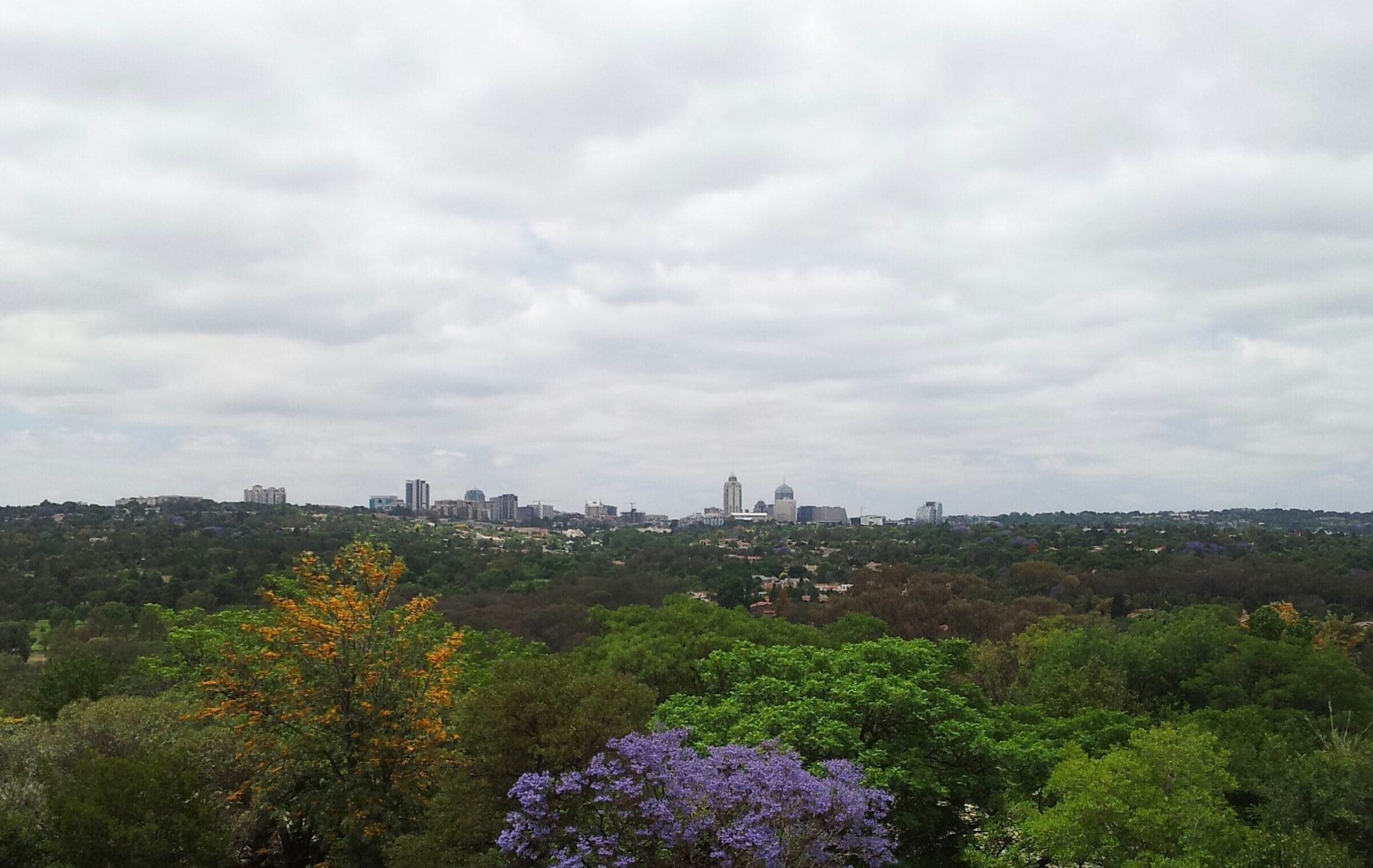 South Africa wealth tax debate — Sandton skyline in Johannesburg