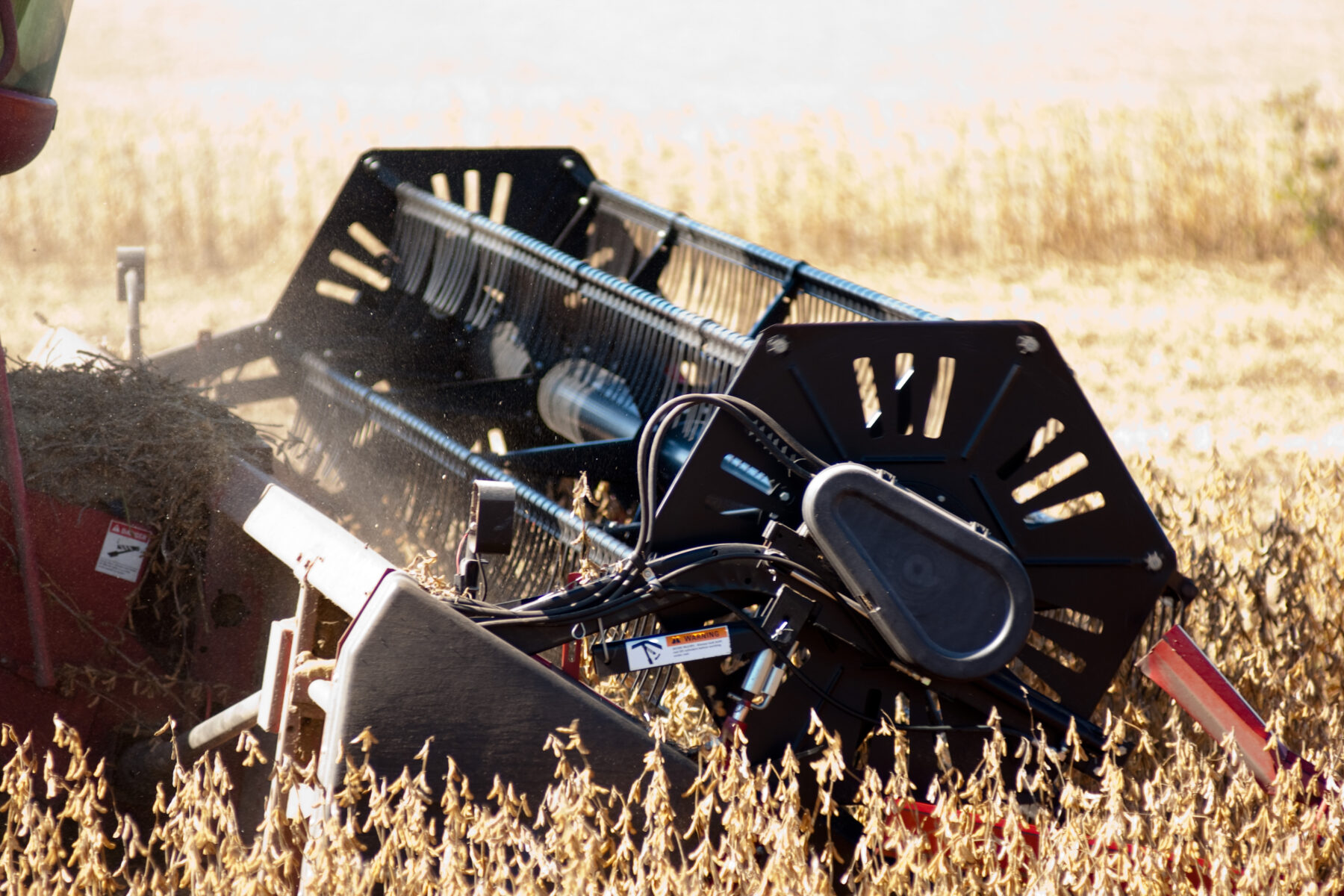 A combine harvesting soybeans