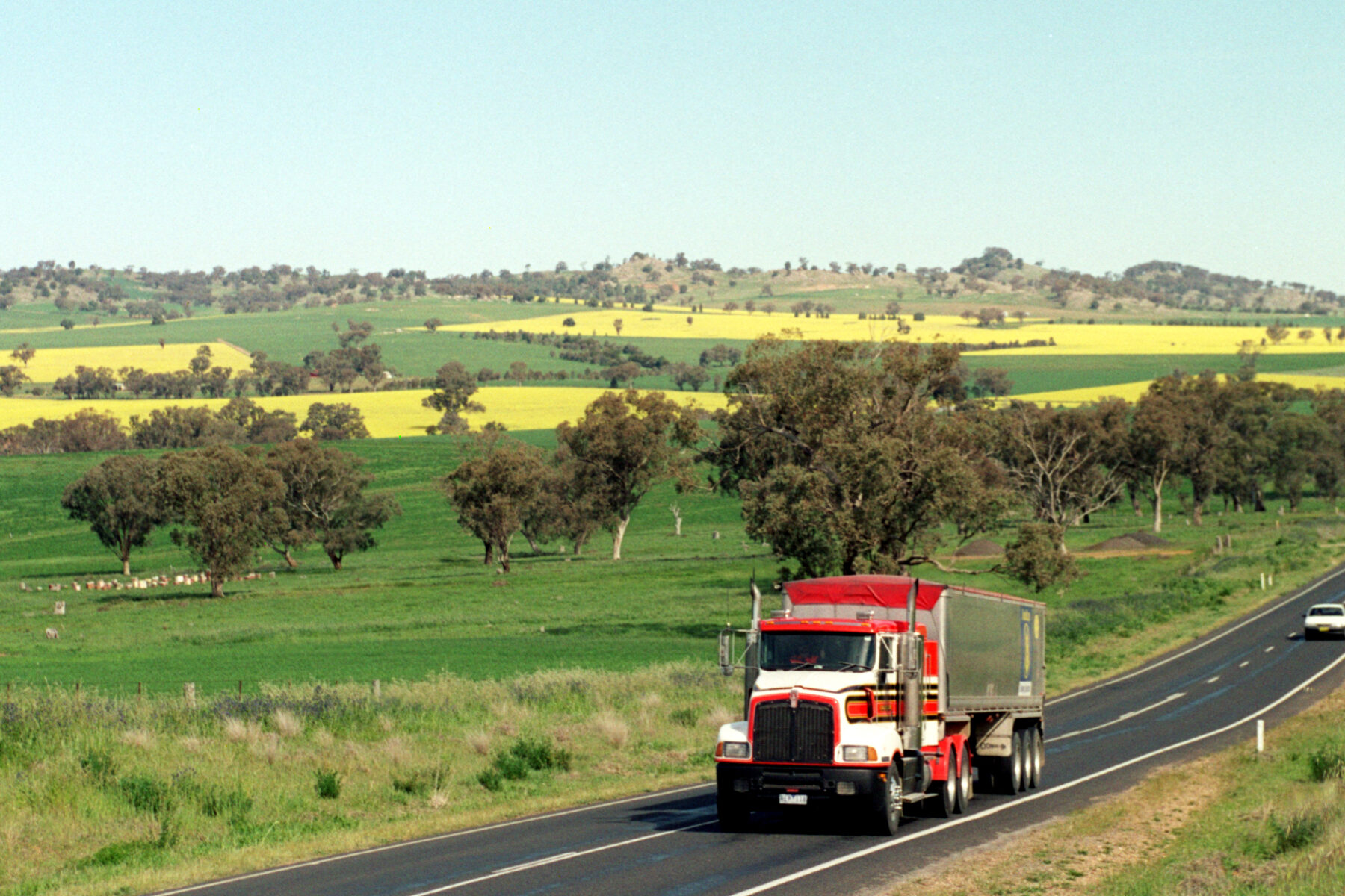 A cargo truck on a highway
