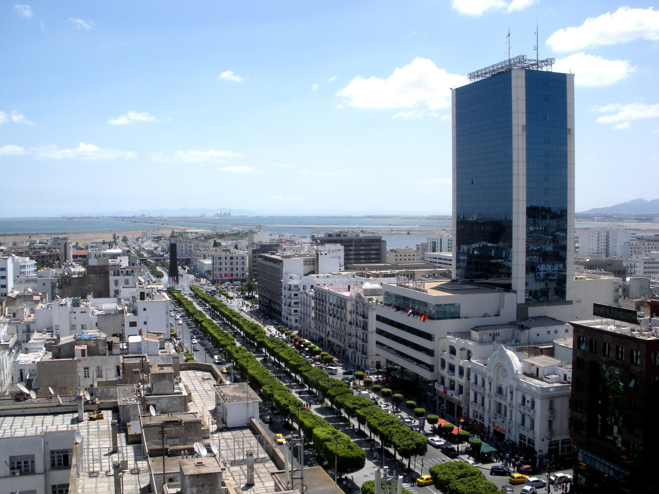 Tunisia rights activist sentence and Avenue Habib Bourguiba in central Tunis