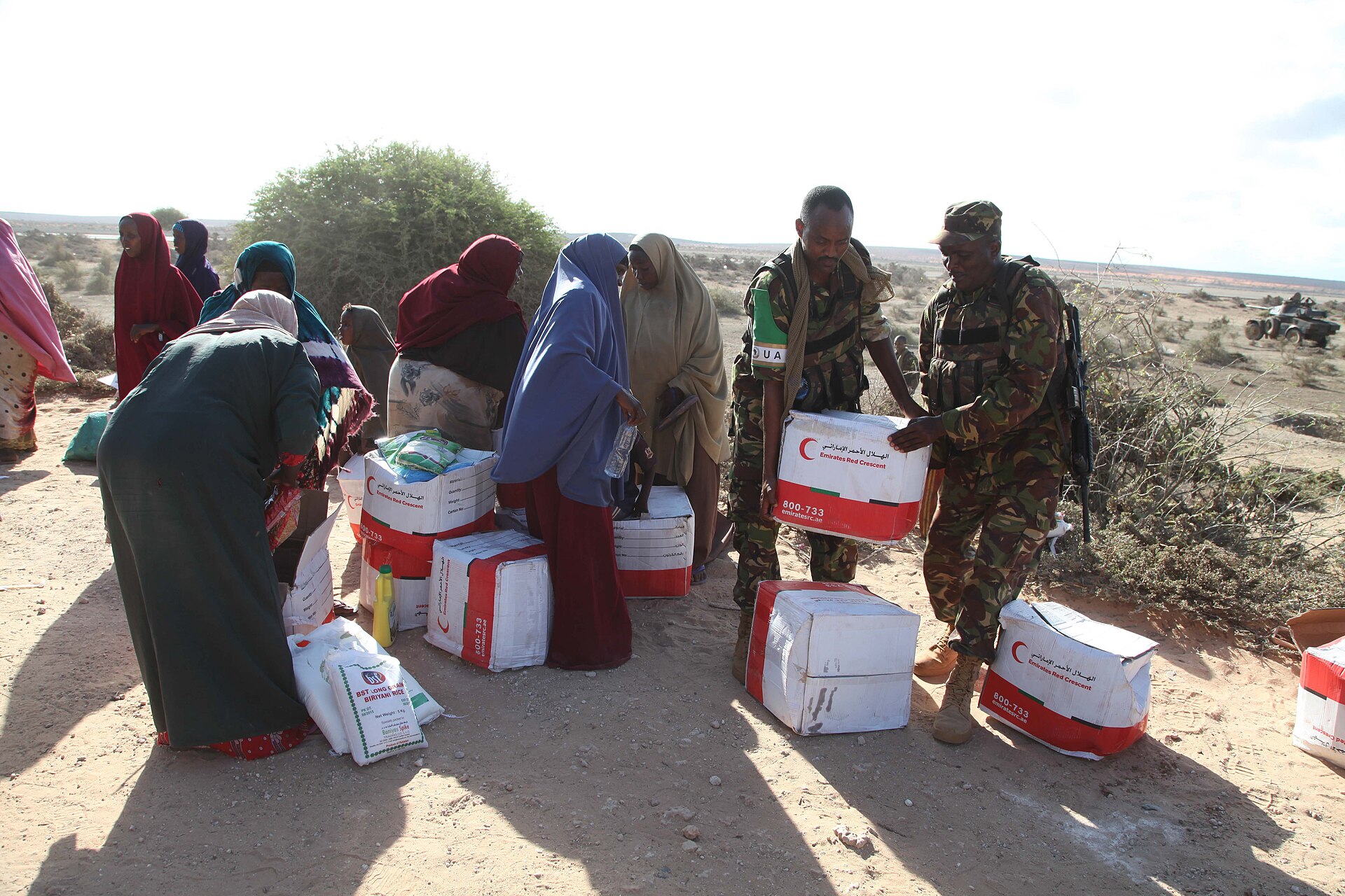Somalia hunger crisis — residents of Gobweyn village collect food and medicine at an aid distribution