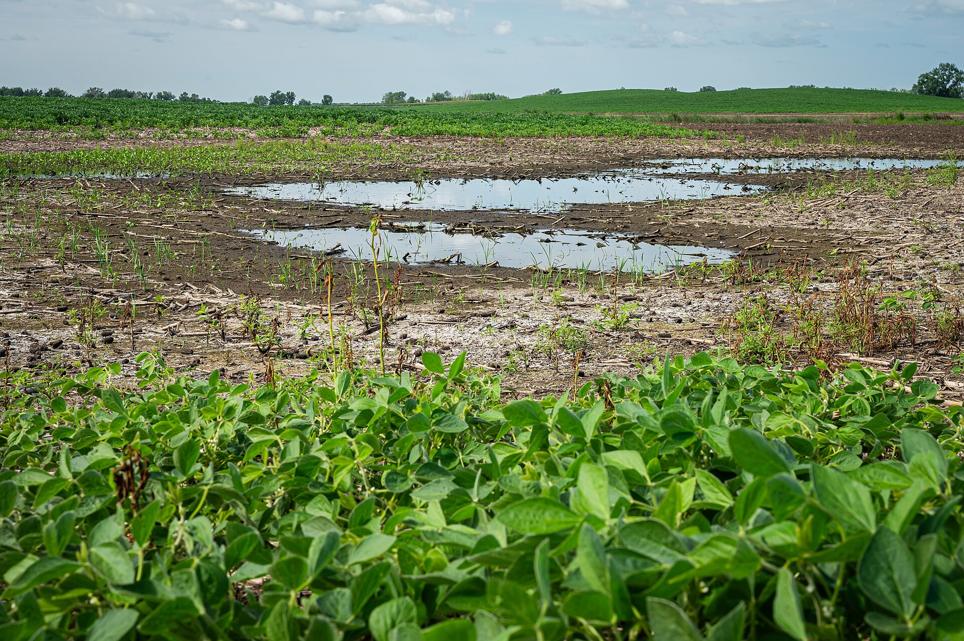 land cap — Argentine farmland