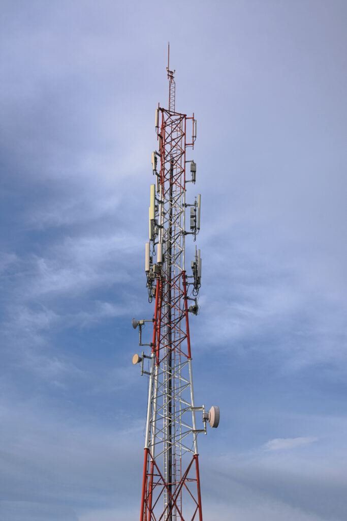 Entel Q2 profit