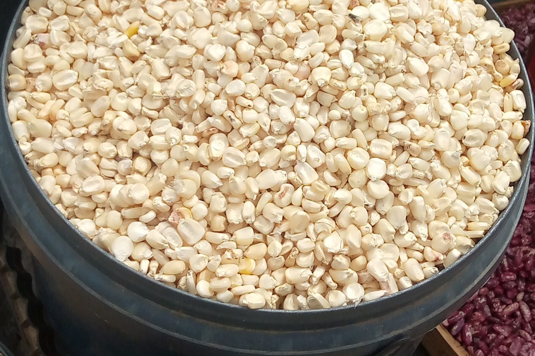 Dried maize cobs