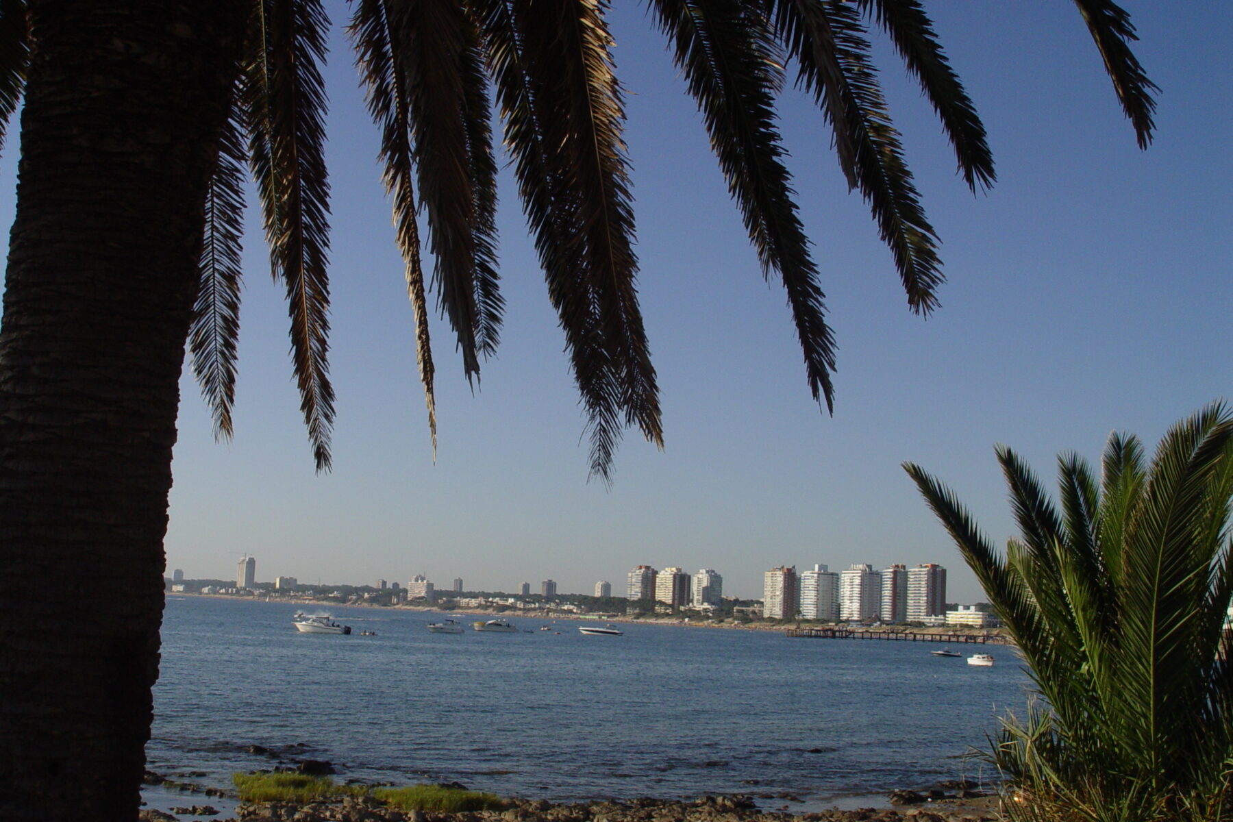 The Atlantic coastline and skyline of Punta del Este, Maldonado, Uruguay