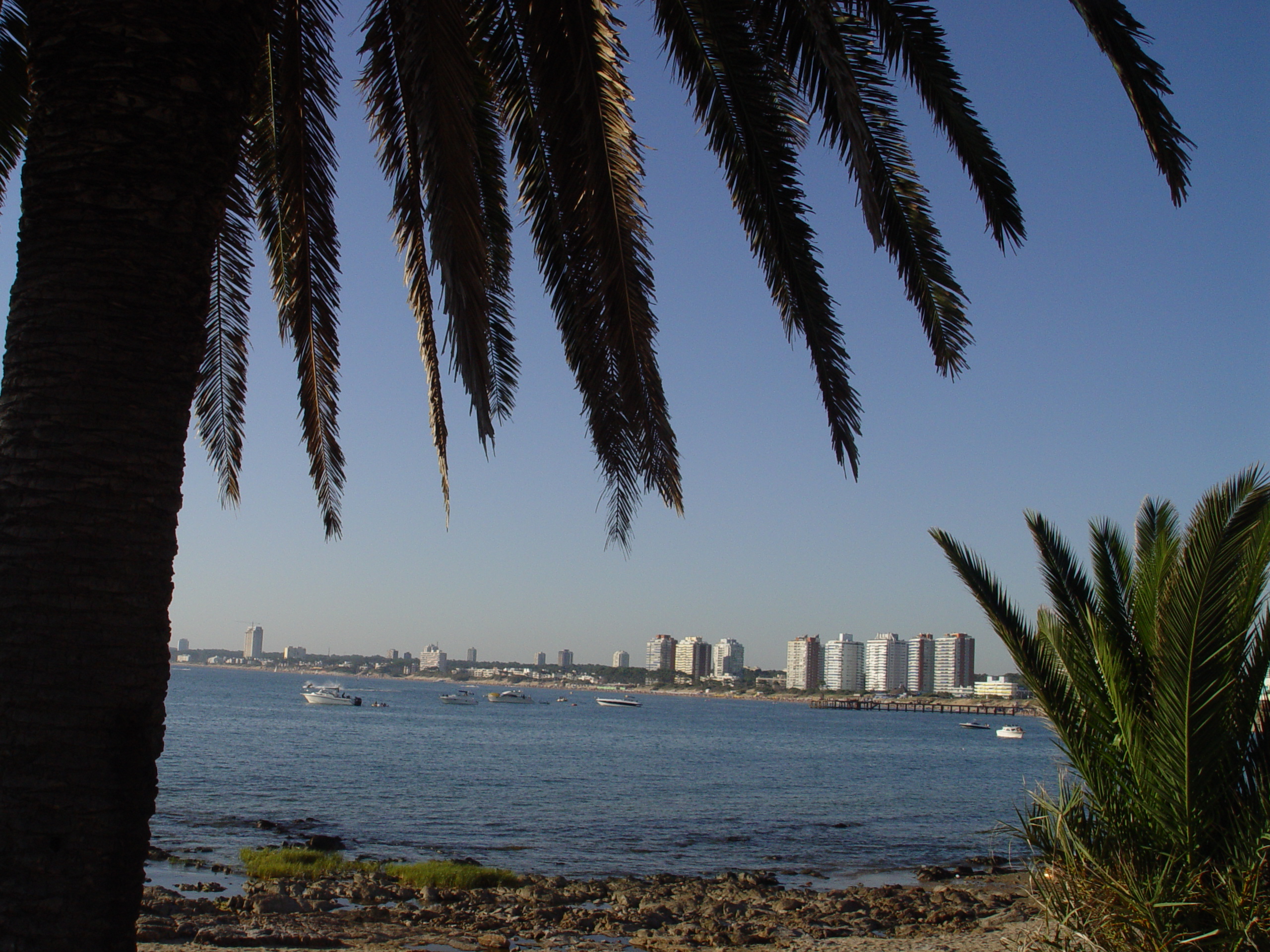 The Punta del Este coastline in Uruguay, with high-rise buildings along the beach
