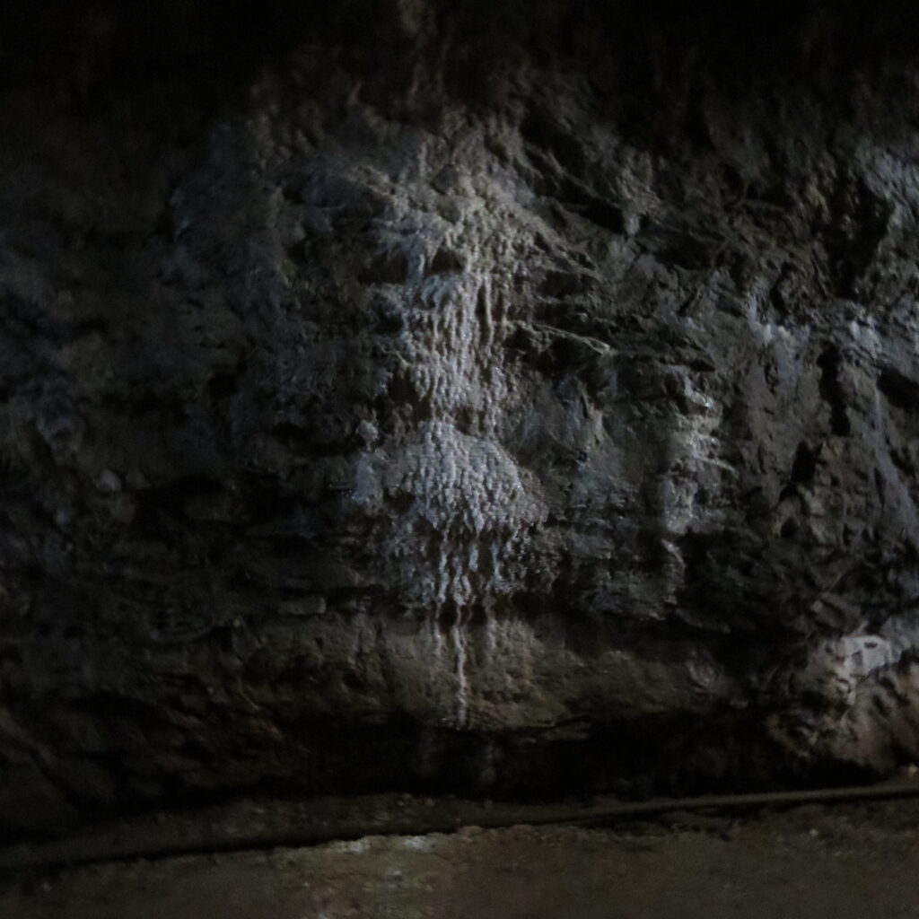 El Teniente suspension