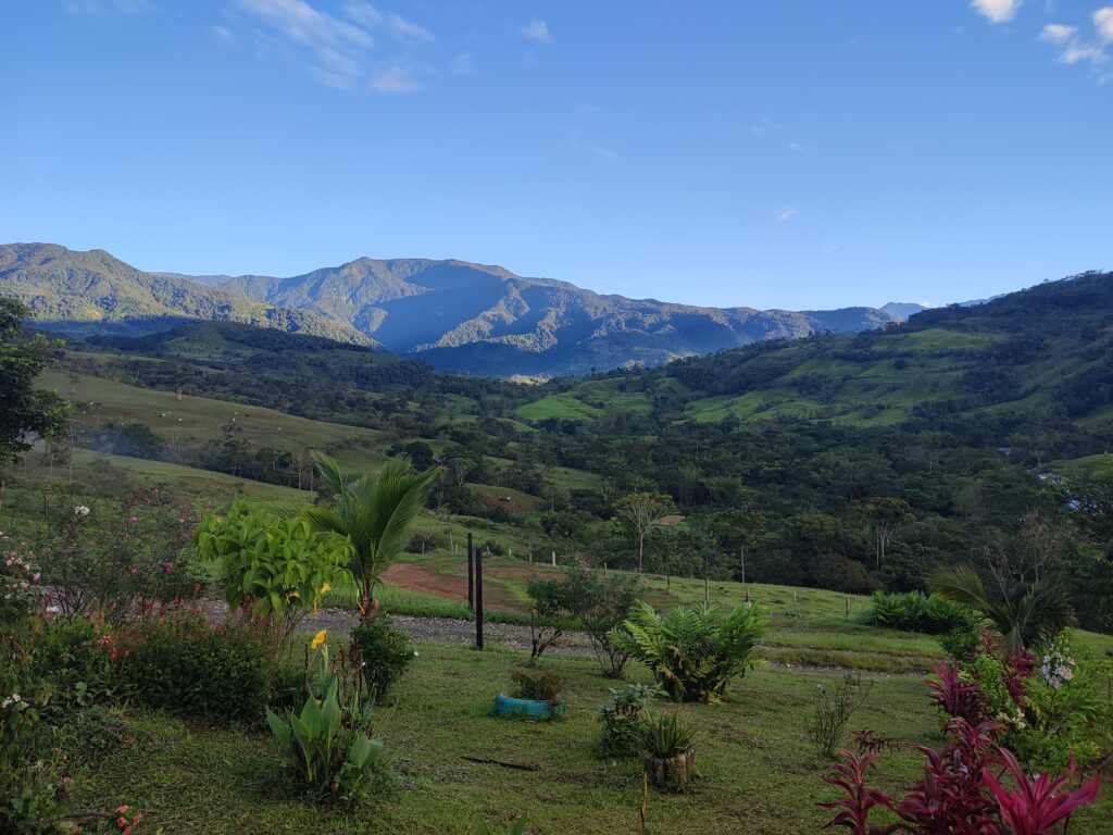 Colombian Mato Grosso — Colombia