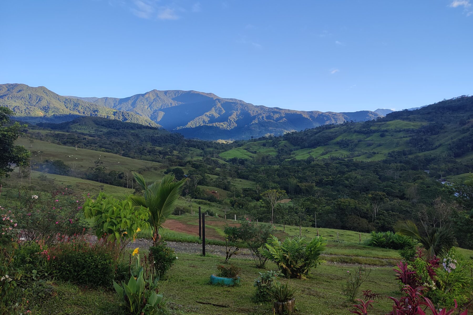 Colombian Mato Grosso — Colombia