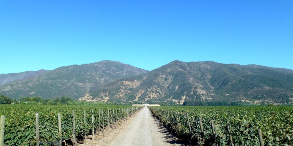 Chile’s Vik Joins Hall of Fame as Santiago Hosts Top Vineyards